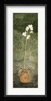 White Potted Flower Fine Art Print