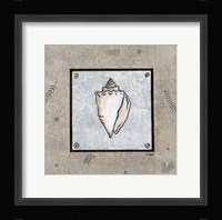 Sea Shell on Blue II Fine Art Print