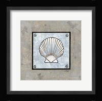 Sea Shell on Blue III Framed Print