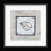Sea Shell on Blue I Framed Print