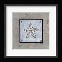 Sea Shell on Blue IV Framed Print