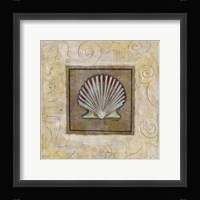 Sea Shell I Framed Print