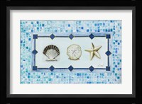 Sea Shell Trio Fine Art Print