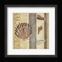 Shell Collage II Fine Art Print