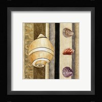 Shell Collage I Framed Print