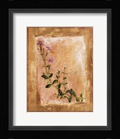 Botanical I Framed Print