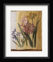 Floral Postcard I Framed Print