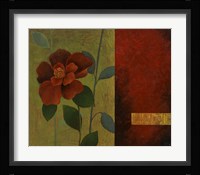 Clematis II Framed Print