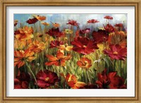 Cosmos In The Field Fine Art Print