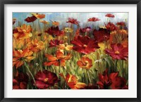 Cosmos In The Field Framed Print
