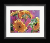 Sunflower Fine Art Print
