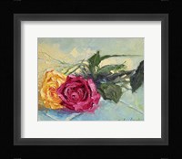 Roses 1 Framed Print