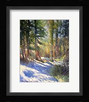 Snow Fine Art Print