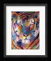 Tiger 1 Fine Art Print