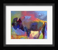 Buffalo Fine Art Print