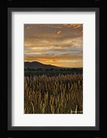 Sunset Over Bear Tooth Framed Print