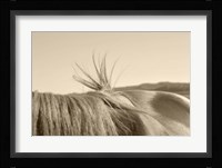 Bareback Hold Fine Art Print