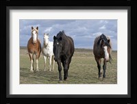 The Four Musketeers 2 Fine Art Print