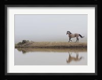 Mystical Beauty Framed Print