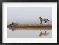 Mystical Beauty Framed Print