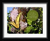 Junes Yellow Monarch Fine Art Print