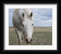 Beggar Fine Art Print