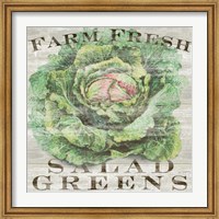 Farm Fresh Greens Fine Art Print