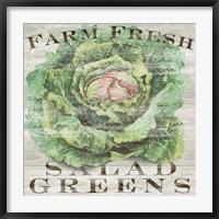 Farm Fresh Greens Fine Art Print