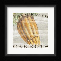 Farm Fresh Carrots Framed Print