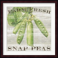 Farm Fresh Peas Fine Art Print