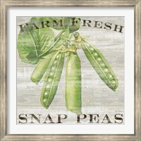 Farm Fresh Peas Fine Art Print