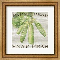 Farm Fresh Peas Fine Art Print