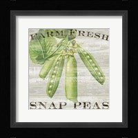 Farm Fresh Peas Fine Art Print