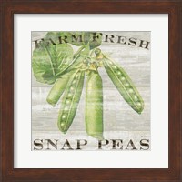 Farm Fresh Peas Fine Art Print