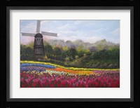 Tulip Garden Fine Art Print