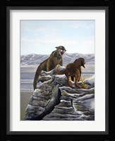 Cougar and Tink Framed Print