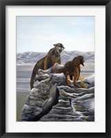 Cougar and Tink Framed Print
