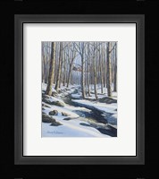 Woodland Farm Stream Fine Art Print