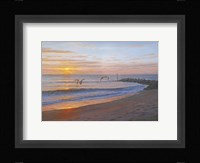 Wings Over Captiva Fine Art Print