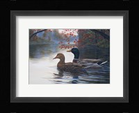 Autumn Cruise Fine Art Print