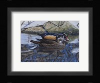 Spring Thaw Woodies Fine Art Print