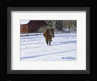 Afternoon Stroll Fine Art Print