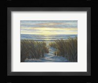 Sandy Shore Fine Art Print