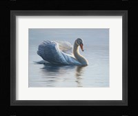 In To The Light Fine Art Print