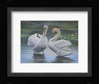 Don't Be Shy Fine Art Print