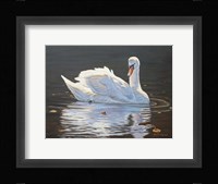 Illuminated Swan Fine Art Print
