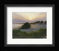 Radiance Fine Art Print