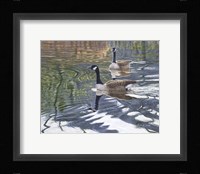 Companions Fine Art Print