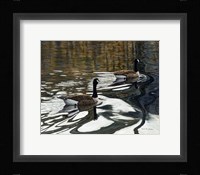 Leaving The Shore Fine Art Print