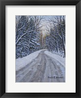 Winter Woods Fine Art Print